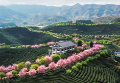 ��ȫ����ɫʳƷһ������ҵ�ںϷ�չʾ��԰��������¯ ��ƽ̨��԰�ϰ�