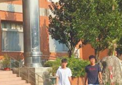 台当局施政乱象失民心 台青年“用脚投票”西进成潮