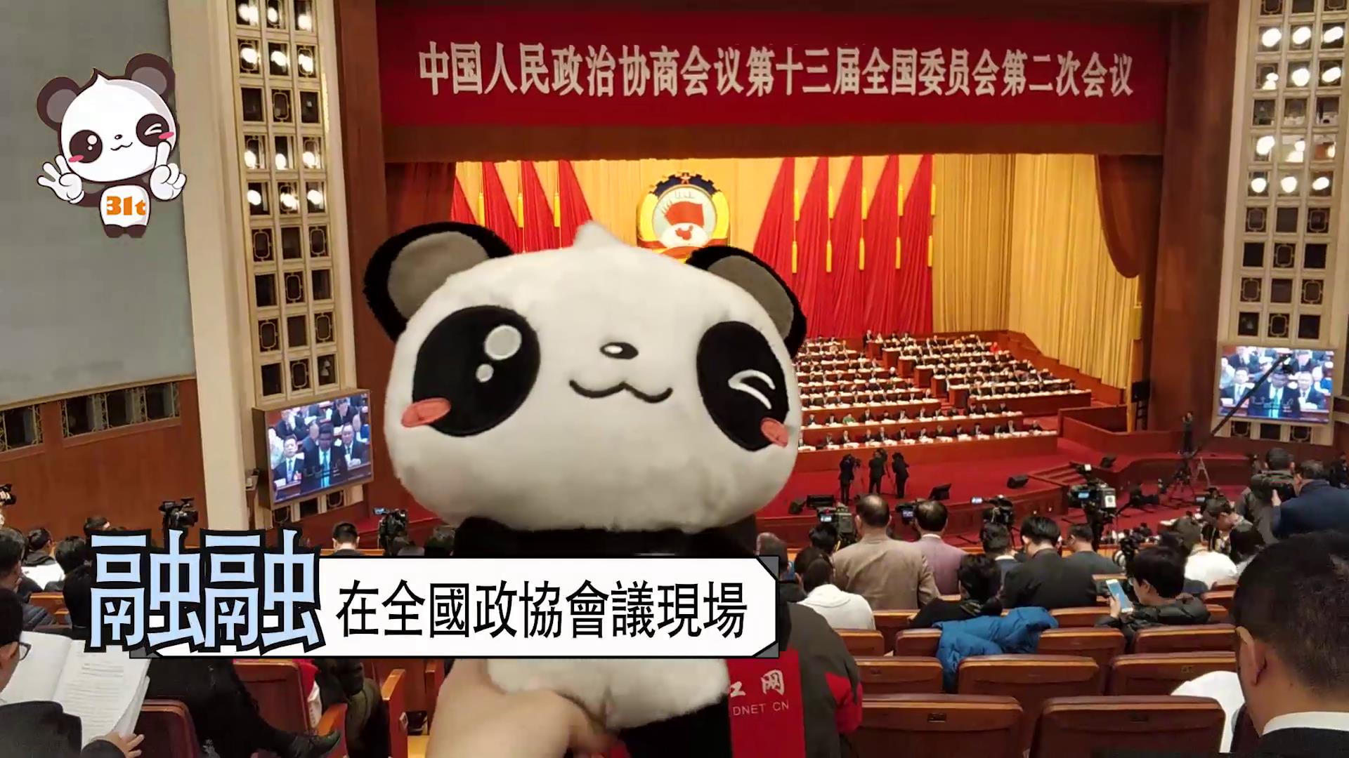 ����vlog���������� ��æ��QͼƬ