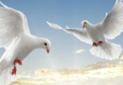 浙江政协副主席张泽熙:倡导孝德将助推两岸关系和平发展