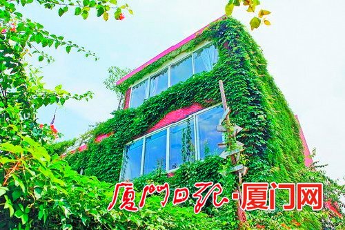 充满绿意的“有棵树”民宿外景。