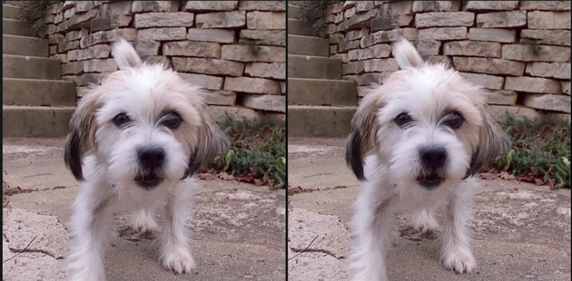 �ȸ��о�Ա����Magic LeapΪ����ֵ45����Ԫ