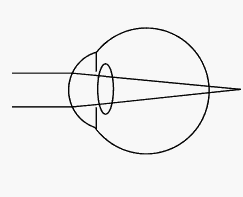 �ȸ��о�Ա����Magic LeapΪ����ֵ45����Ԫ