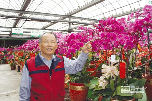 ̨����԰���³�������