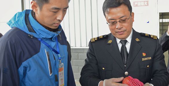 timg_副本111.jpg