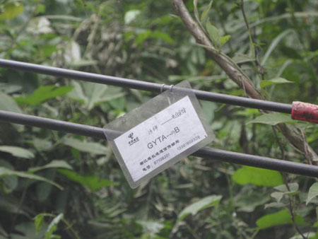 ���������������ɽ��ĵ�����;�ָ���ͨ����·