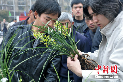 30��Ԫޥ����ѹȺ�� �������Ѻ��ݹ��ͼ�Ʒ����