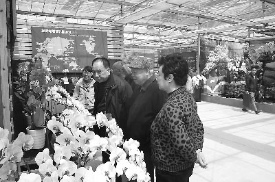 ����̨��ũ��ҵ԰����5��������˶��ʵ