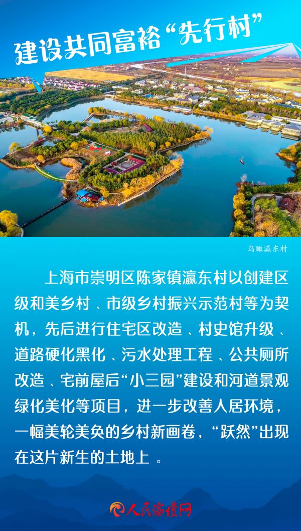 �Ϻ�����-1