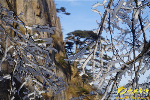 冬日黄山银装素裹 人间仙境引两岸媒体齐点赞 冬日黄山银装素裹 人间仙境引两岸媒体齐点赞