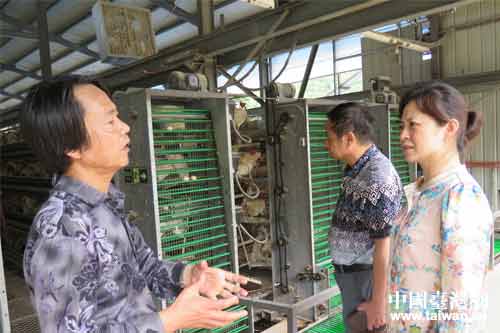 胡琳主任(右一)认直听取情况介绍 胡琳主任(右一)认直听取情况介绍