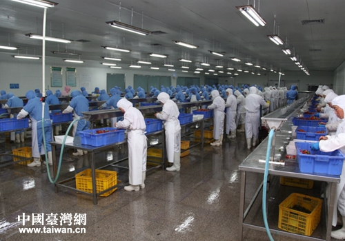 台资企业天成宏利食品有限公司加工车间 台资企业天成宏利食品有限公司加工车间