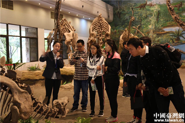 ȫ��ý��ι��Թ���������ݡ�