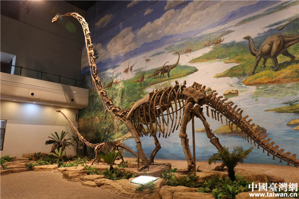 �Թ���������ݡ�