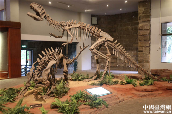 �Թ���������ݡ�