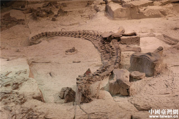 �Թ���������ݡ�