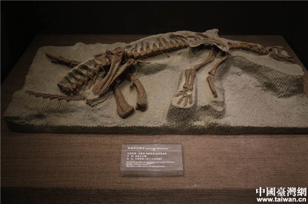 �Թ���������ݡ�