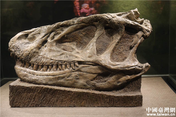 �Թ���������ݡ�