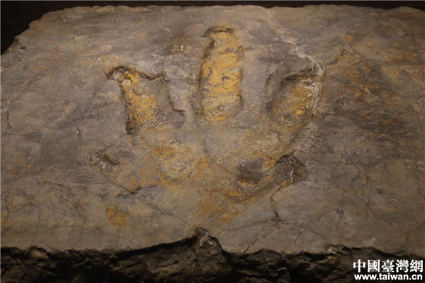 �Թ���������ݡ�