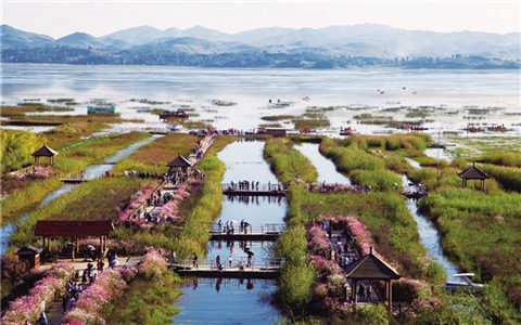 ���ݱϽ��ƶ���̨���ߣ�̨�������ع��о�������Ʊ�Ż�