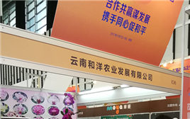 ����10��̨����ҵ�μӴ�½̨����ҵ��Ʒչ����