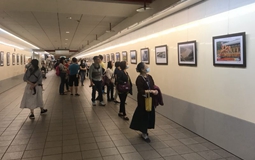 2018Ѱ˿·ͼƬչ̨չ