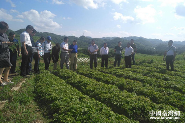 �����ſ���̫�Ӳ���ֲ����