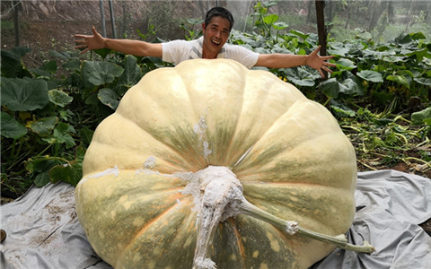 ̨ũ÷ֳ1040Ϲ йϹϼ¼