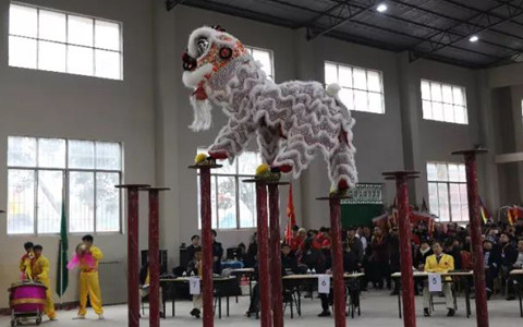 台湾龙狮团协会参加2019年中国·东盟(富川)国际龙狮争霸赛