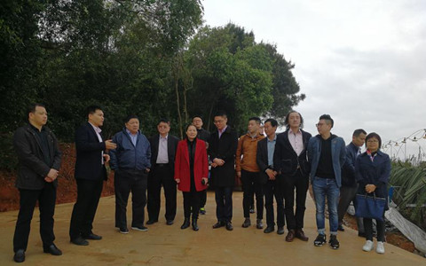 王屏生一行考察金穗集团火龙果种植基地_副本1.jpg
