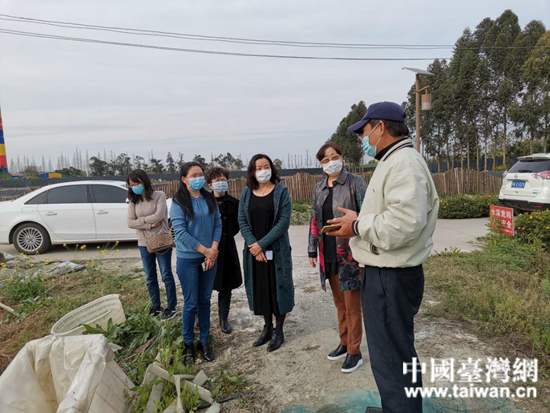 参观海鲈鱼养殖基地,与企业负责人交流。 (中国台湾网 发).jpg