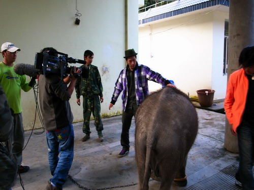 ̨����������̨����˫�����������Ŀ