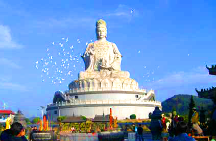 二百多放生鸽飞聚东莞观音山观音像