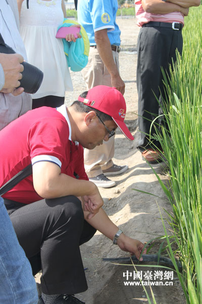 �η�������ҵˮ������ʾ�����ؽ��н�������