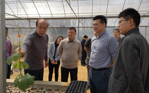 广西台办副主任丘德彬到海峡两岸产业合作区崇左产业园调研