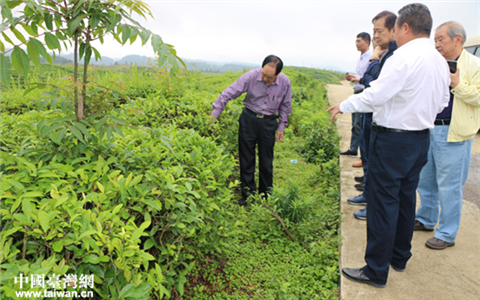台湾高仰三公司考察团赴黔南考察