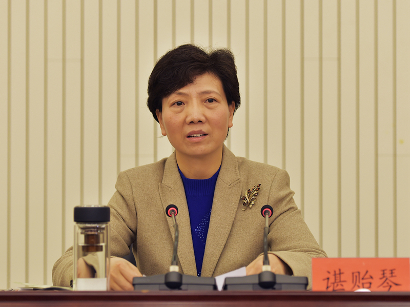 谌贻琴讲话 谌贻琴讲话