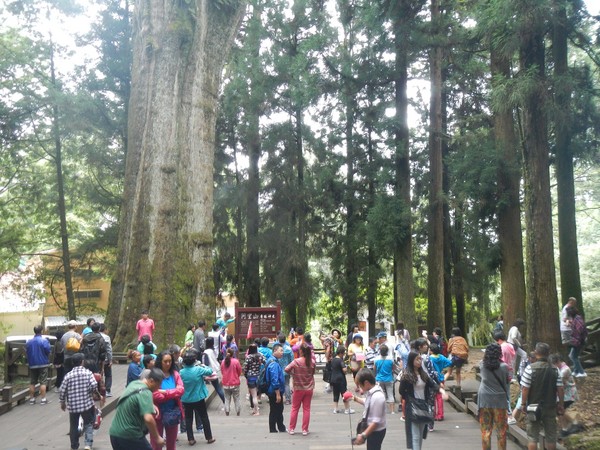 阿里山设台湾首台“自动资源回收机”