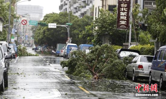 台北忠孝东路附近马路。 <a target='_blank' href='http://www.chinanews.com/'><p align=
