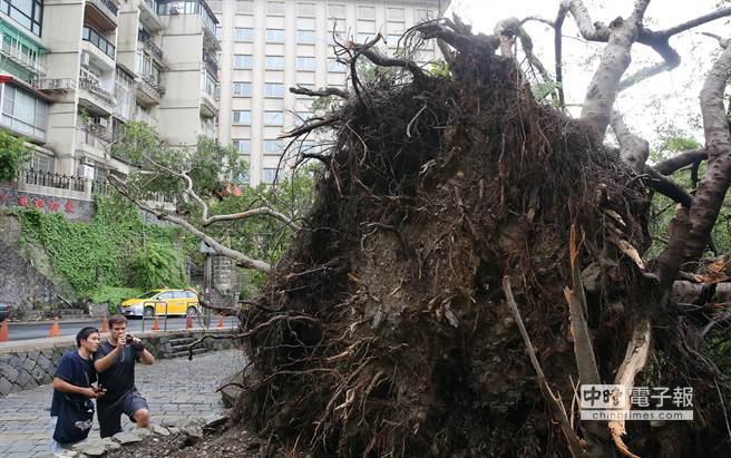 ̨��������5�� ̨������ԭʼ���֣���ͼ��