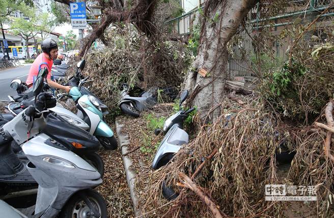 ̨��������5�� ̨������ԭʼ���֣���ͼ��