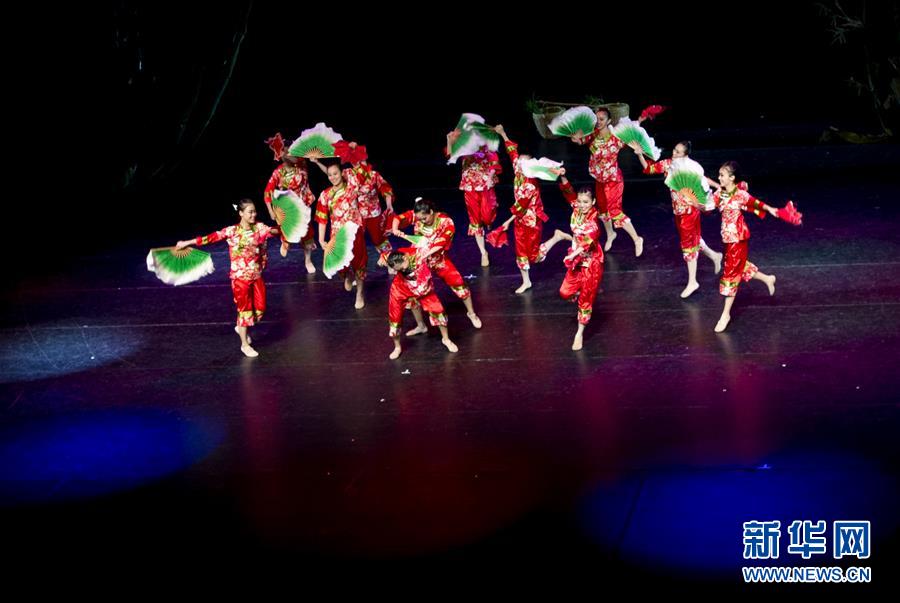 ̨������赸����Ա����̨�ϱ��ݡ�