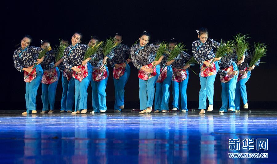 ̨������赸����Ա�ڱ��ݡ���������˵���꡷��