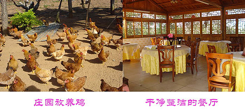 ̨����ҵ����ׯ԰ �������жȼٵĺ�ȥ��