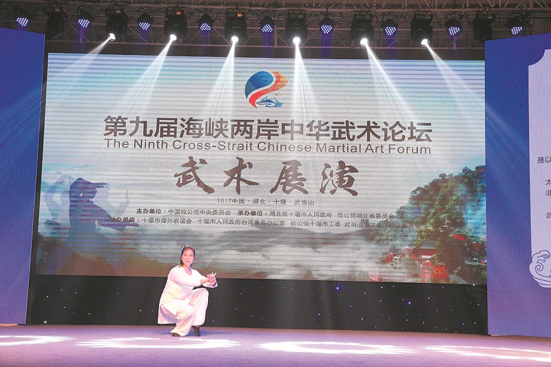 武韵——第九届海峡两岸中华武术论坛掠影 武韵——第九届海峡两岸中华武术论坛掠影