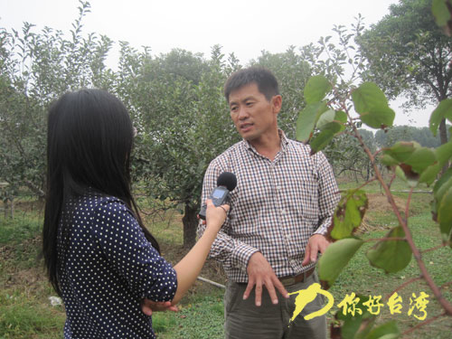 ̨�̻���㣺������ɽ��ũҵ���ߴ��ϡ�