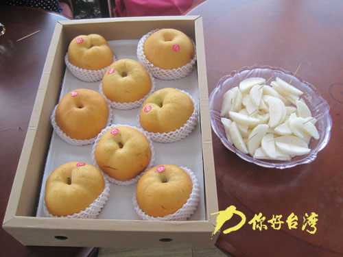 ̨�̻���㣺������ɽ��ũҵ���ߴ��ϡ�