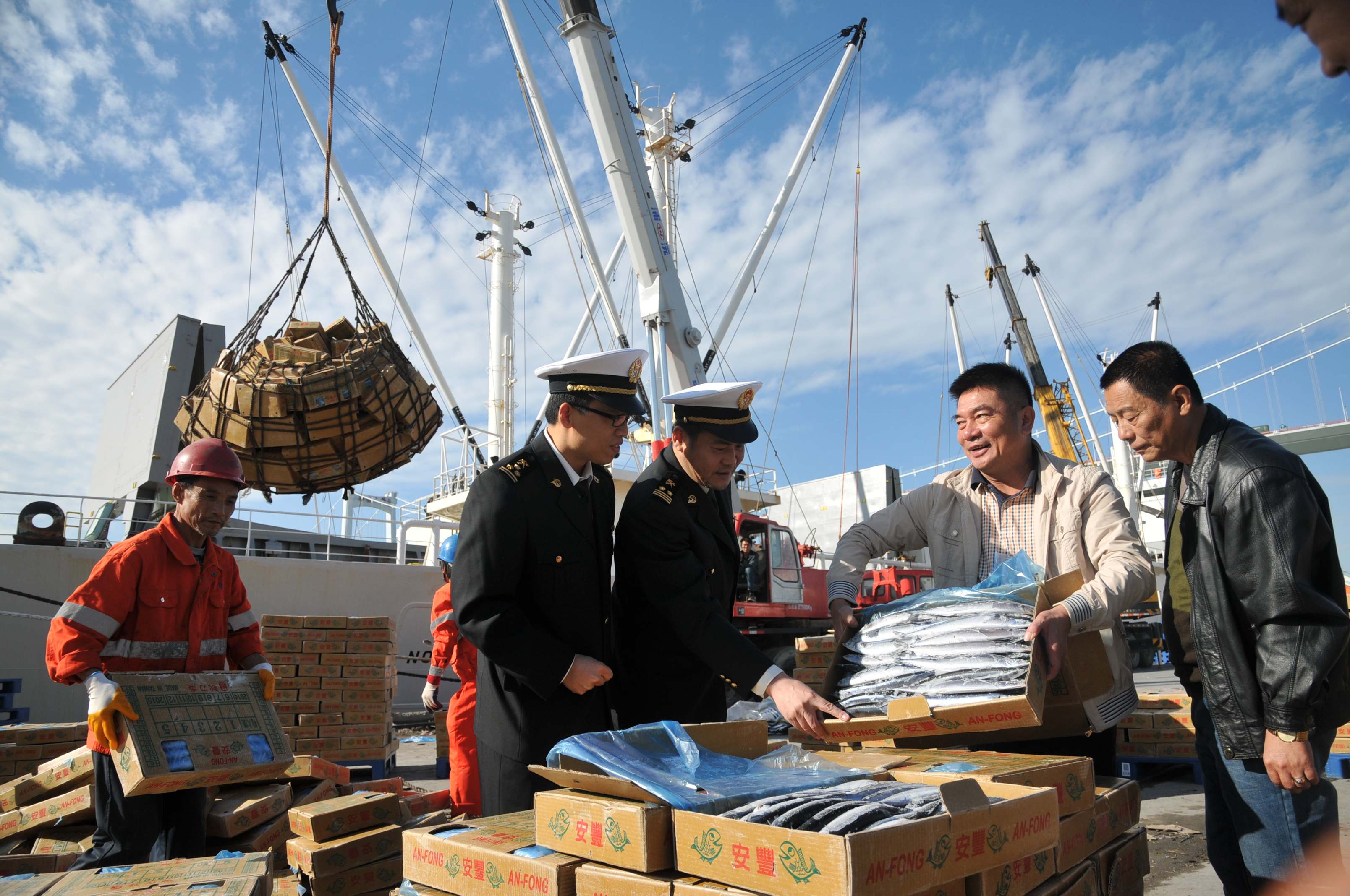 厦门海关验放今年最大宗台湾直航进口秋刀鱼 厦门海关验放今年最大宗台湾直航进口秋刀鱼
