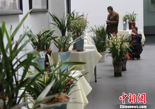 �㶫˳��չ����ٶ���̨������