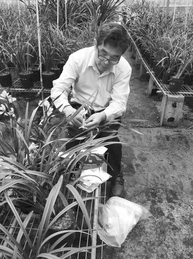 ̨���˴�½��ҵ����������iPhoneһ�����£�ͼ��